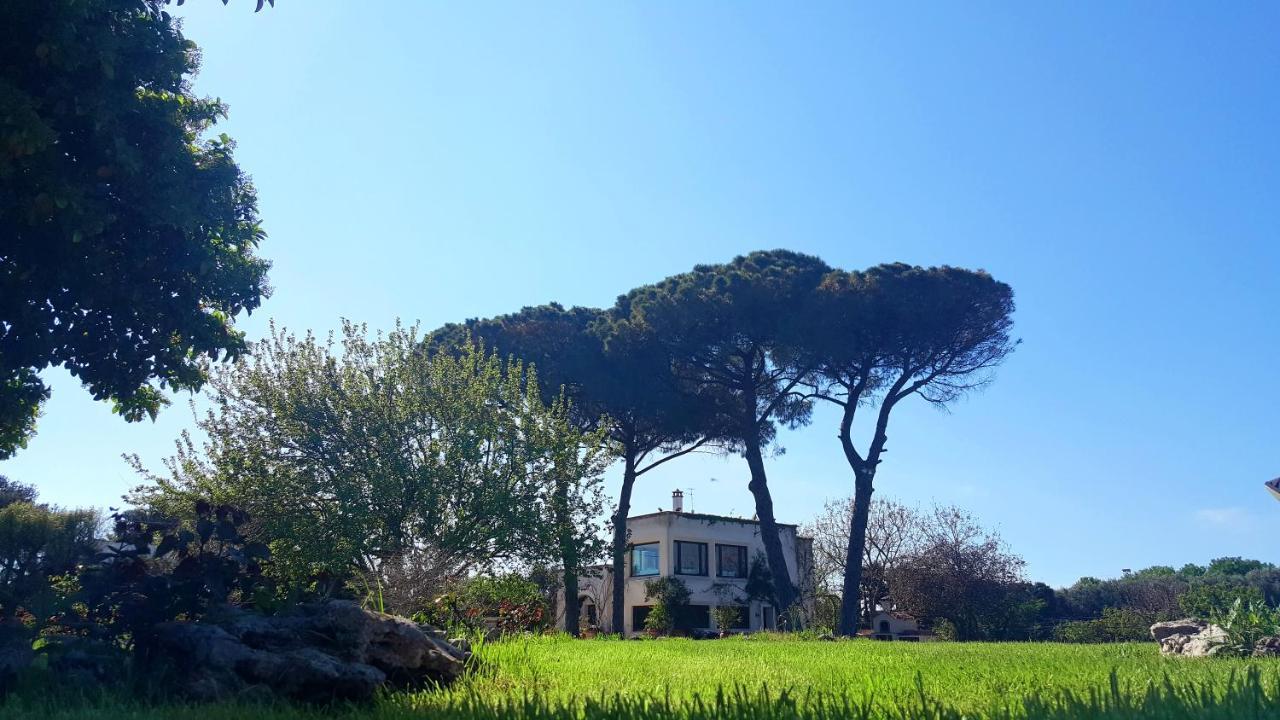 Tenuta DonnAnna Galatone Bagian luar foto